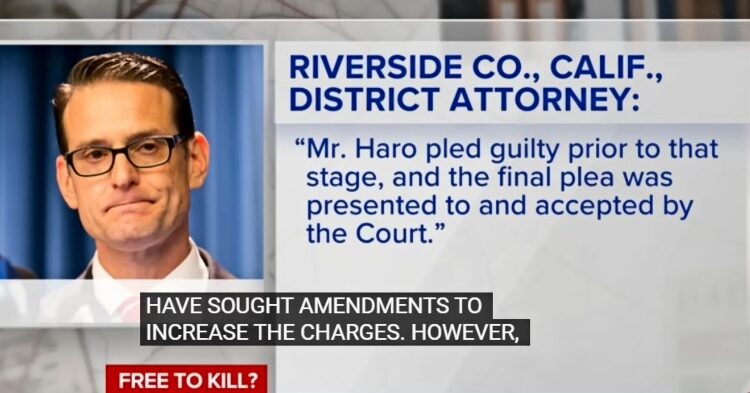 DA Blames The Courts For Probation – Banfield – News Nation – YouTube