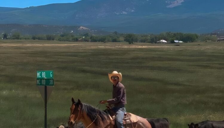 Brodie might come from a ranching family – @brodieutley – Instagram