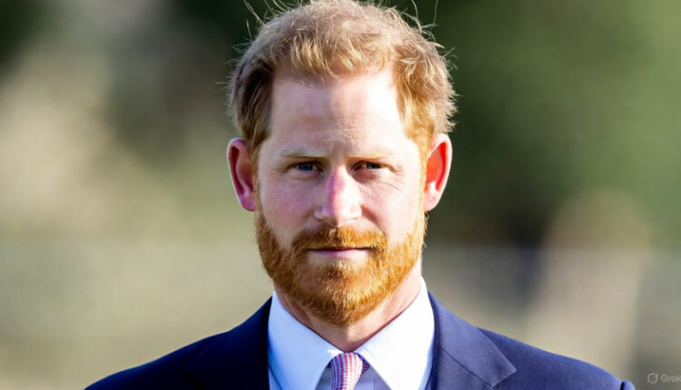 Prince Harry Security