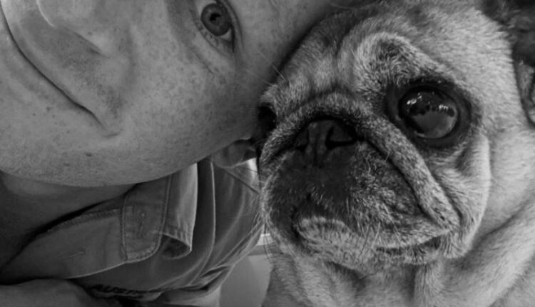 Robert’s little bestie, Stella – @robertirwinphotography – Instagram