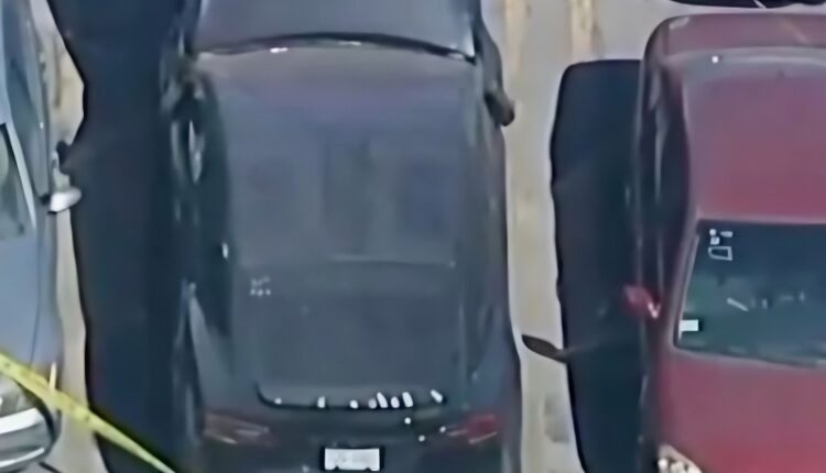 The abandoned tesla – Newsnation – YouTube
