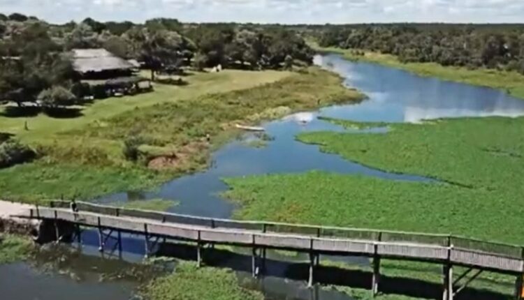 Antelope Park is a popular nature destination – @antelopepark – YouTube