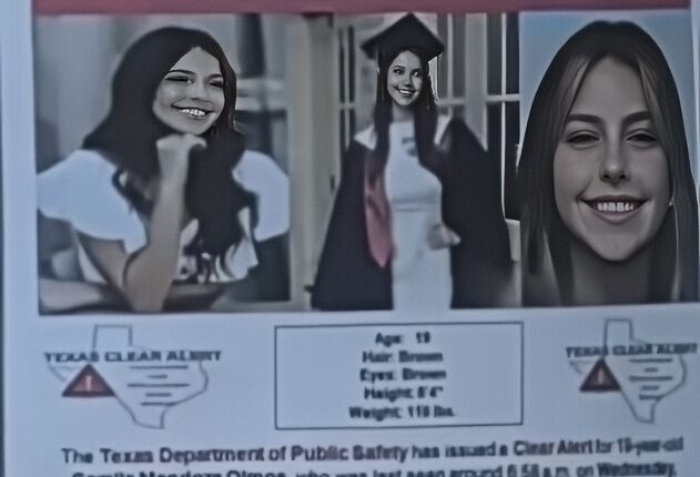 Missing Person Poster – via ABC News – YouTube 2