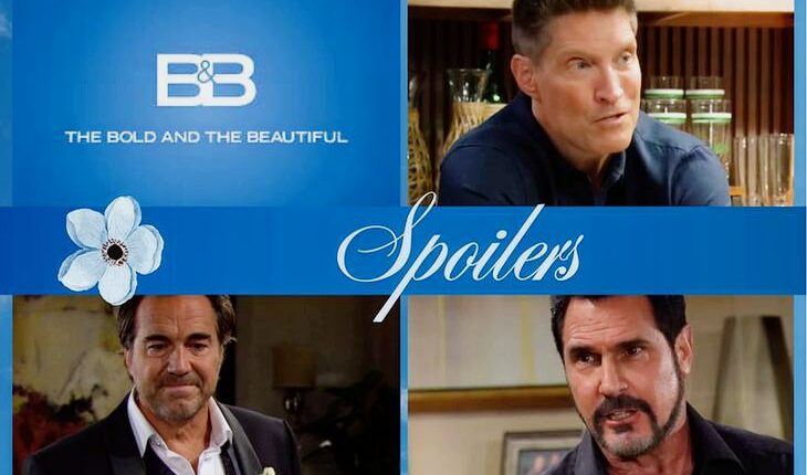 The Bold And The Beautiful