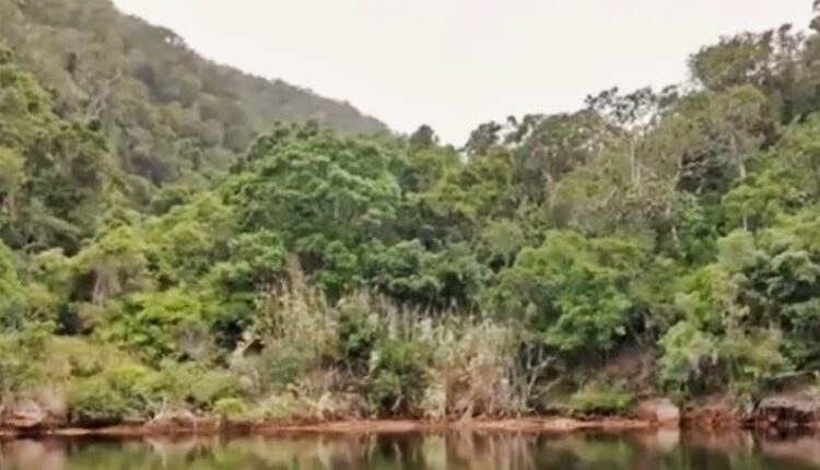The Keurbooms River – Credit – Taylor and Jordan Travel – YouTube