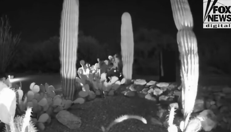 Other citizens share camera footage – Fox Digital – YouTube