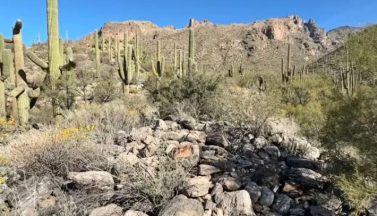 Searches in the desert areas – Via Drop Dead Serious – YouTube