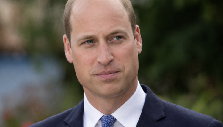 Prince William Likeness