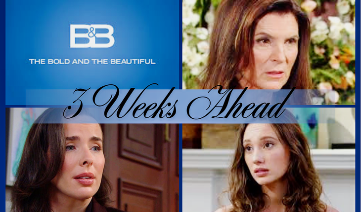 The Bold And The Beautiful  