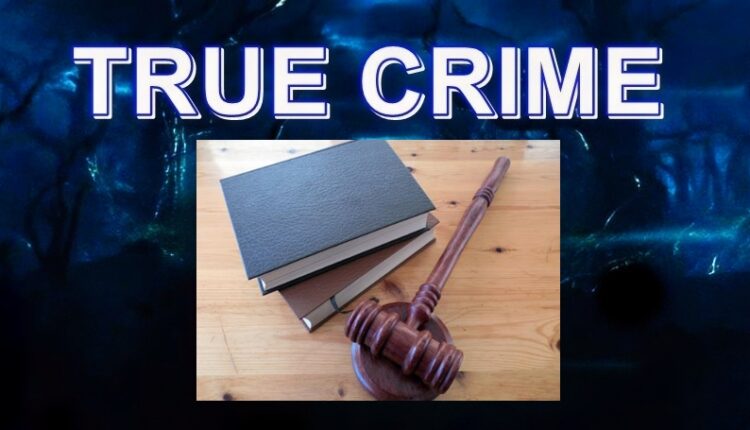Dmitriy Popov Hate Crime Comviciton – Analysis – Image credit SUCCO – Pixabay