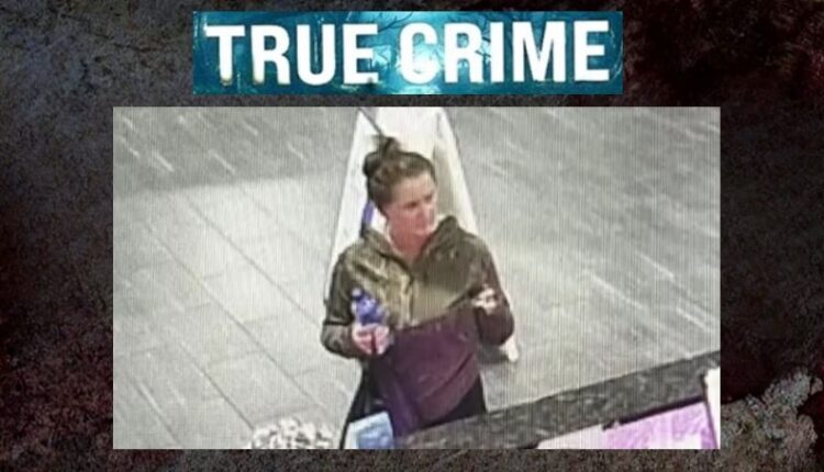 Elena Katherine Moore went missing a body was found – Via @brianEntinInvetsigates – YouTube