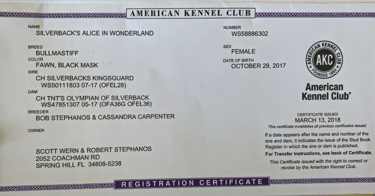 Ali’s full Kennel Club registration – Courtesy of Scott
