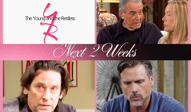 YOUNG AND THE RESTLESS
