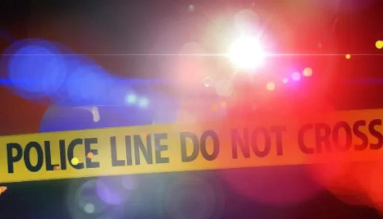 10 Women Found Dead In Ekurhuleni Is There A Serial Killer – CCO Geralt – PIxabay