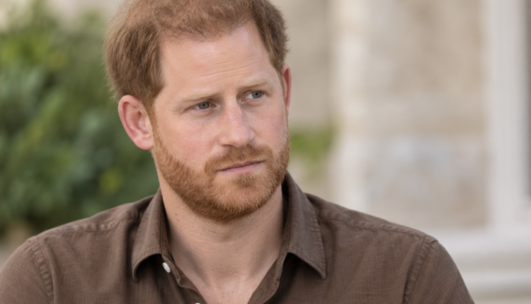 Prince Harry-Netflix (1)