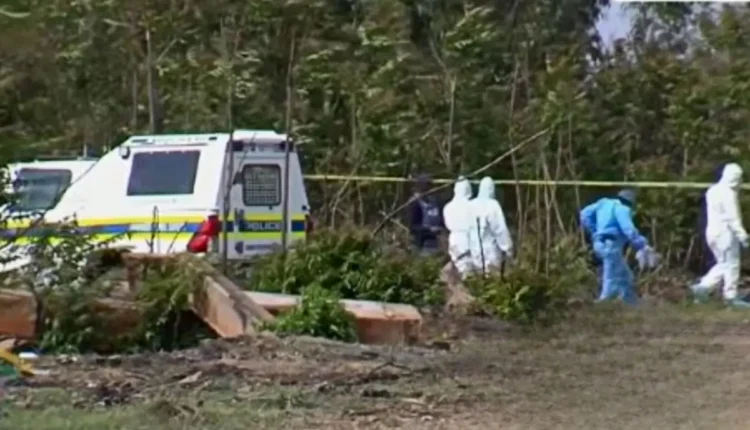 South Africa 11th Woman Found Dead In Ekurhuleni As Serial Killer Fears Grow – SABC – YouTube