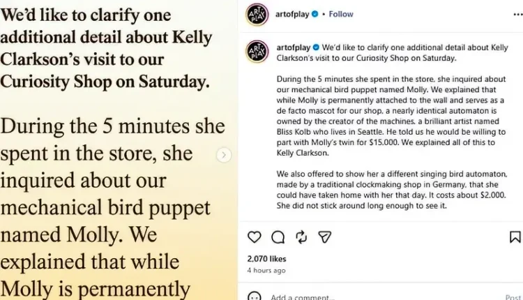 Art of Play defends the store multiple times – Instagram