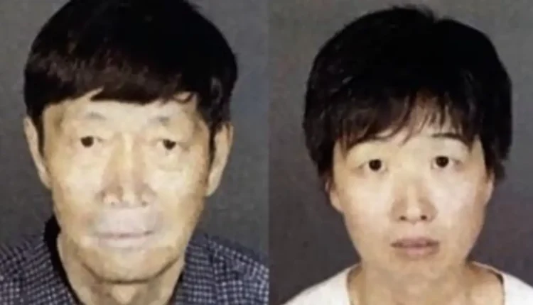 California Couple With 21 Children Face Abuse Charges In Surrogacy Scandal – ABC7 News – YouTube