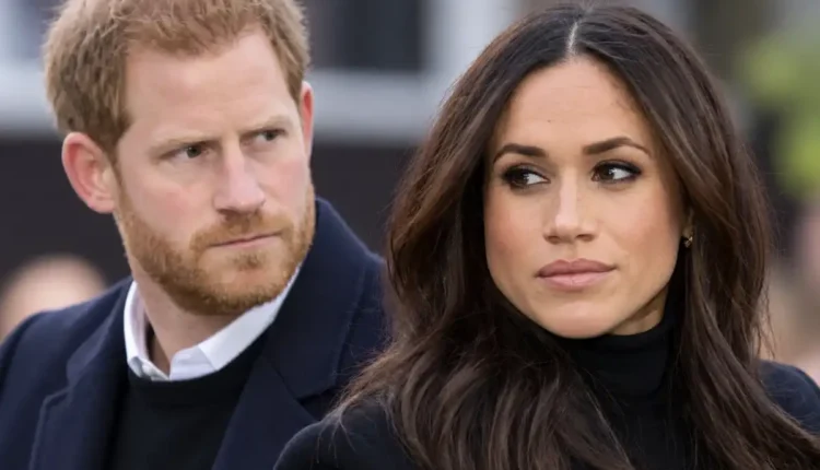 SUssexes (1)
